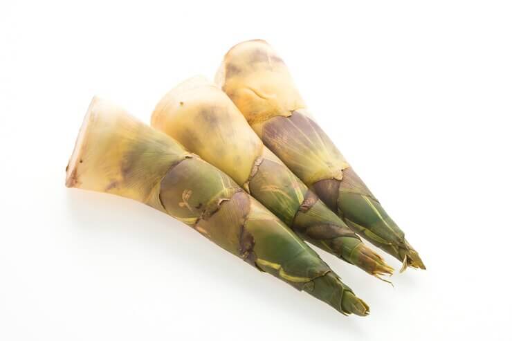 Bamboo Shoots: Delicacy and Sustainability with 10 Surprising Facts