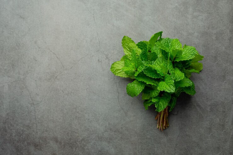 Mint: A Refreshing Herb with 10 Surprising Facts