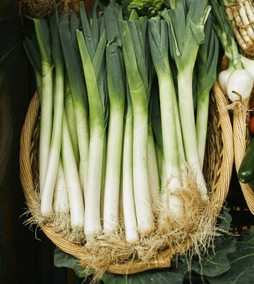 Leeks: A Staple with Nutritional Benefits and 10 Surprising Facts