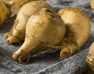 Rutabagas: A Versatile Root with 10 Surprising Facts