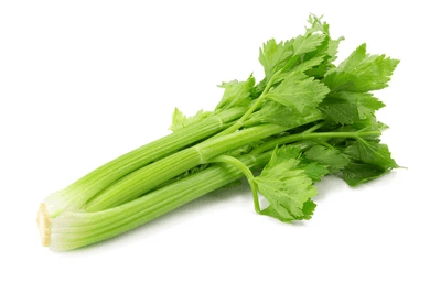 Celery: A Flavour Rich Green with 10 Surprising Facts