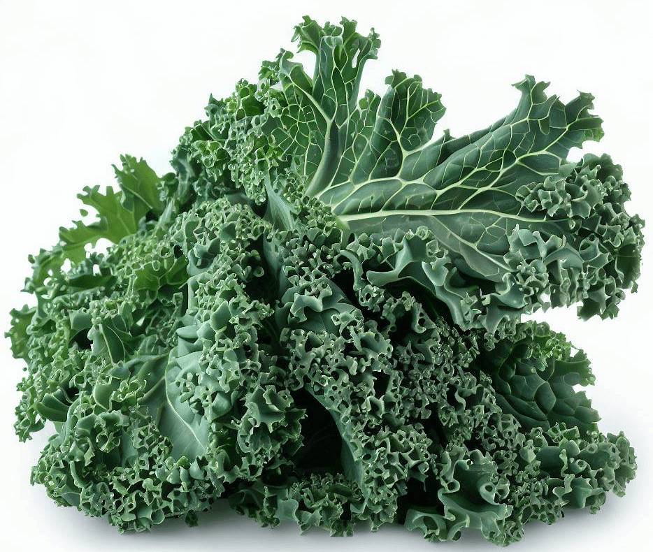 Kale: A Nutrient Rich Food with Health Benefits