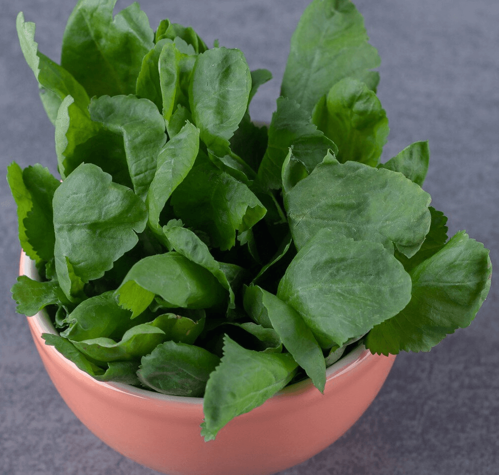 Swiss Chard and its 10 Surprising Facts